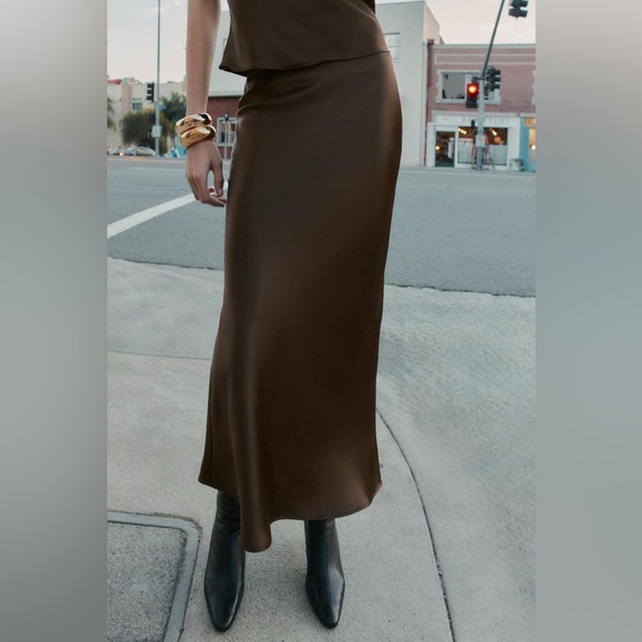 Zara Brown Midi Skirt - Picture 2 of 8